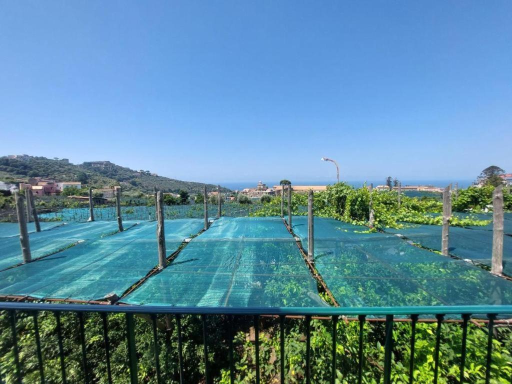 Il Pozzillo Maison Massa Lubrense Eksteriør billede
